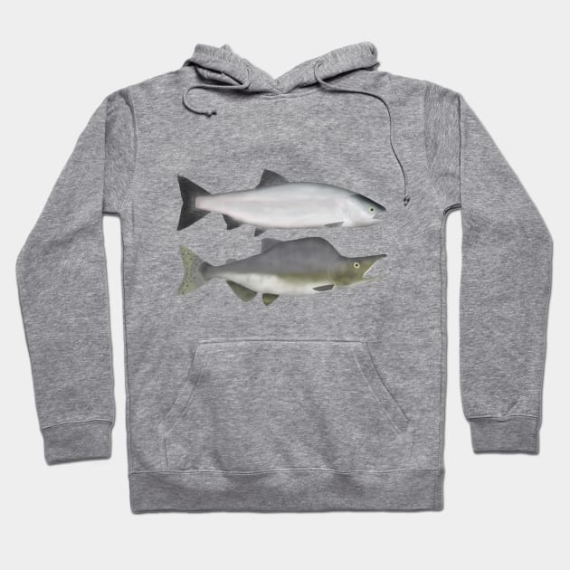 Pink Salmon - Ocean and Spawn Phases Hoodie by FishFolkArt